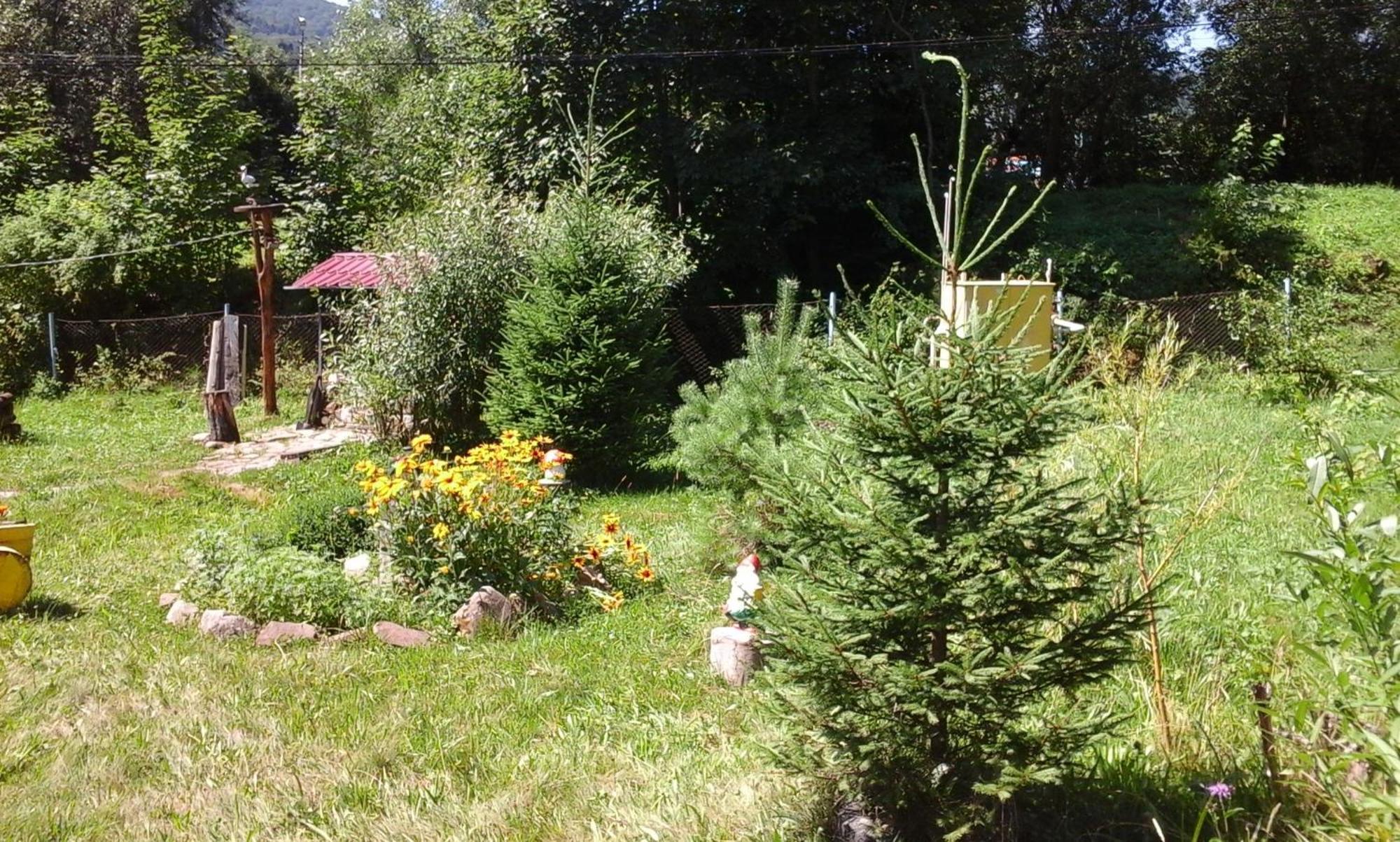 U Pana Ivana Jaremcse Szoba fotó