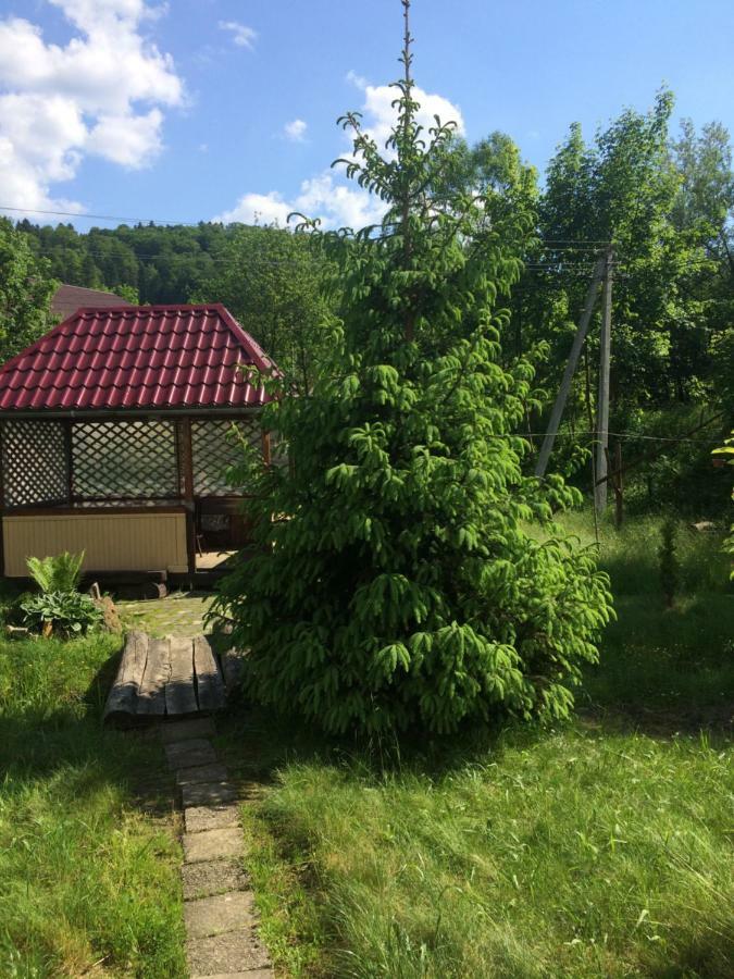 U Pana Ivana Jaremcse Kültér fotó